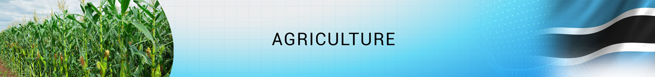 Agriculture