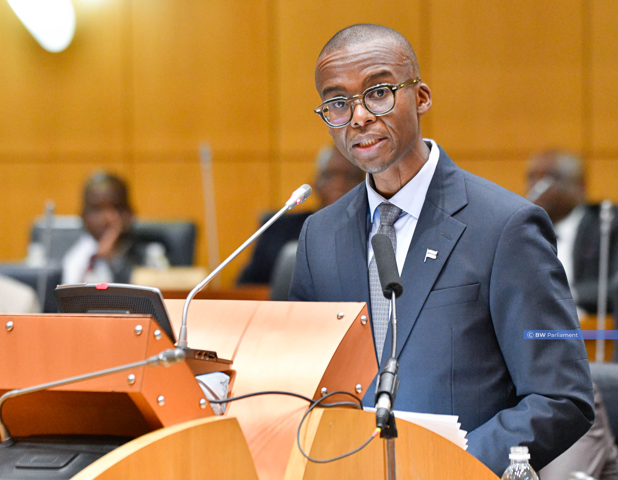 Vice President and Minister of Finance Ndaba Gaolathe