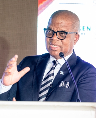 Minister for State President, Defence &amp; Security, Moeti Mohwasa