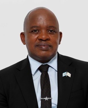  Hon. Nelson Ramaotwana