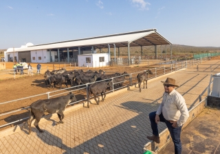 FIRST GIROLANDO ARRIVALS MARK NEW ERA FOR BOTSWANA’S DAIRY INDUSTRY